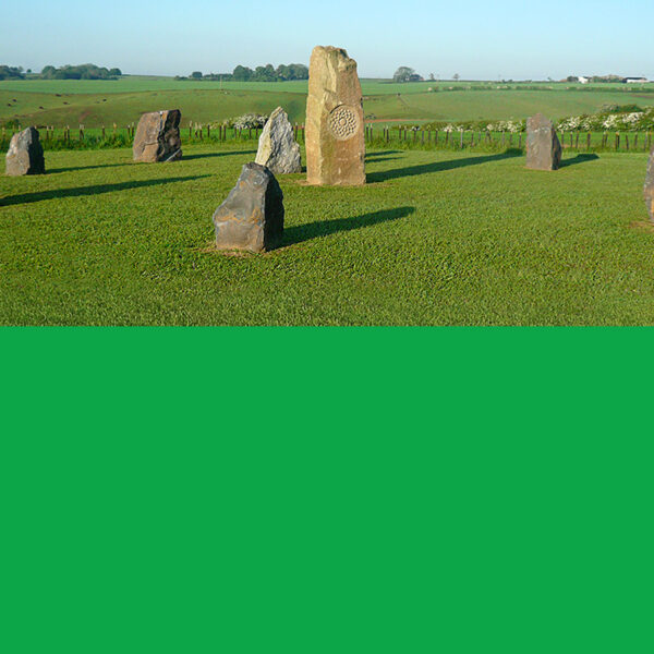 The 7 Levels, Awakening on the Chakra Path